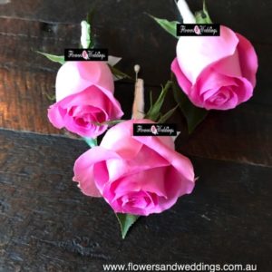 Home, Flowers &amp; Weddings Sydney | Wedding &amp; Event Hire Sydney